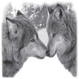 MUZZLE NUZZLE 03878SA2.gif